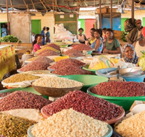 IDRC convenes stakeholders to discuss evidence on Innovating to transform food systems in Africa