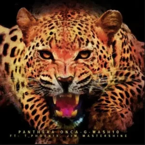G-Wash10 & Dj Jim Mastershine – In the Jungle (Extended Version)