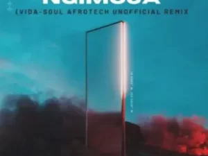Tyler ICU – Ngimoja (Vida-soul AfroTech Unofficial Remix) ft. Khanyisa, Tumelo ZA & Tyrondee