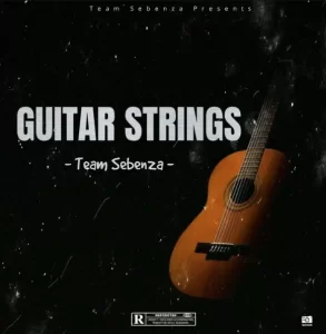 Team Sebenza – Guitar Strings