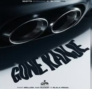 Scotts Maphuma x Slyzza Rsa - Gone Kanje ft. Mellow & Sleazy, Dlala Regal