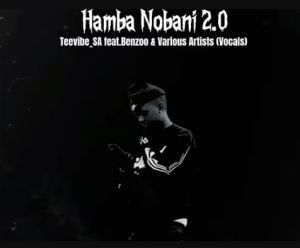 Teevibe SA - Hamba Nobani 2.0 (ft.Benzoo & Various Artists Vocals) Mp3 DOWNLOAD