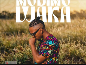 Dj 8Milli, KG Smallz, Beekay Monalayzzar, Seneath ft Fifi - Modimo Waka Mp3 DOWNLOAD
