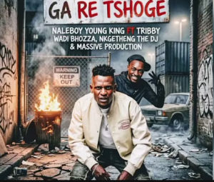 Naleboy Young King x Tribby Wadi Bozza x Nkgetheng The DJ x Massive Production - Ga Re Tshoge Mp3 DOWNLOAD